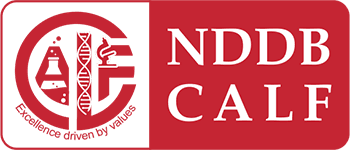 NDDB CALF